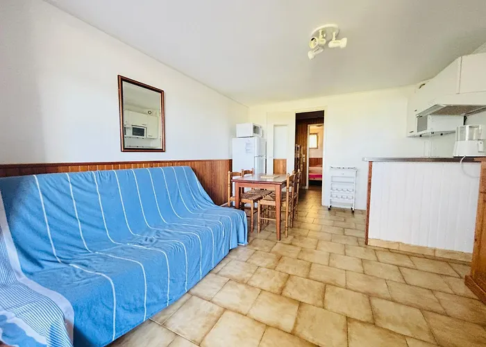 Argeles-Sur-Mer : T2 Bis Face Plage, Loggia Vue Mer - Fr-1-309-254 Аржель-сюр-Мер