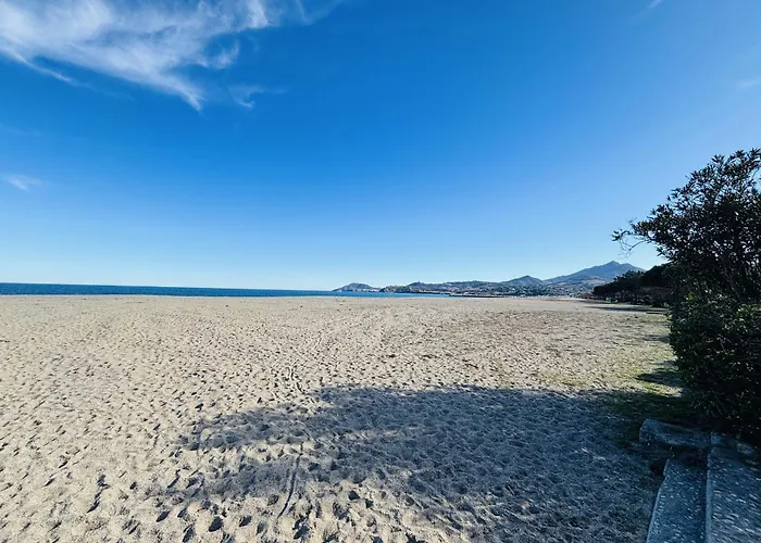 Argeles-Sur-Mer : T2 Bis Face Plage, Loggia Vue Mer - Fr-1-309-254 Аржель-сюр-Мер
