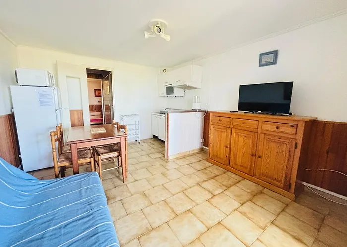 Argeles-Sur-Mer : T2 Bis Face Plage, Loggia Vue Mer - Fr-1-309-254 * Аржель-сюр-Мер