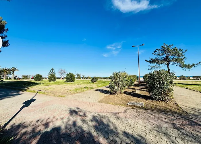 Апартаменты Argeles-Sur-Mer : T2 Bis Face Plage, Loggia Vue Mer - Fr-1-309-254 Аржель-сюр-Мер